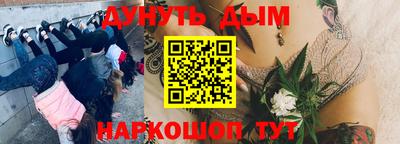 эйфоретик Абакан