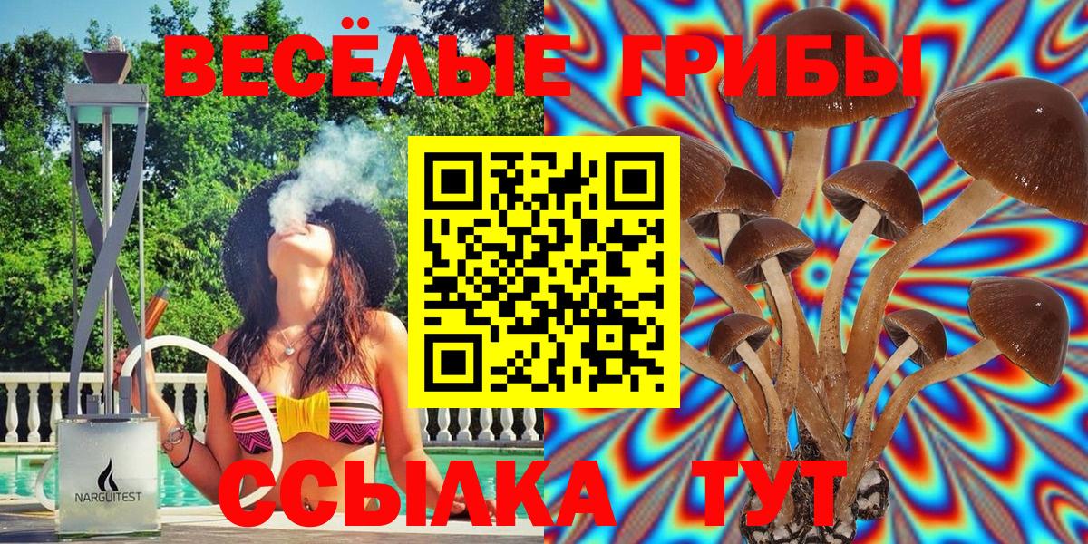 Псилоцибиновые грибы мухоморы  сколько стоит  Галлюциногенные грибы Psilocybine cubensis  Усинск 