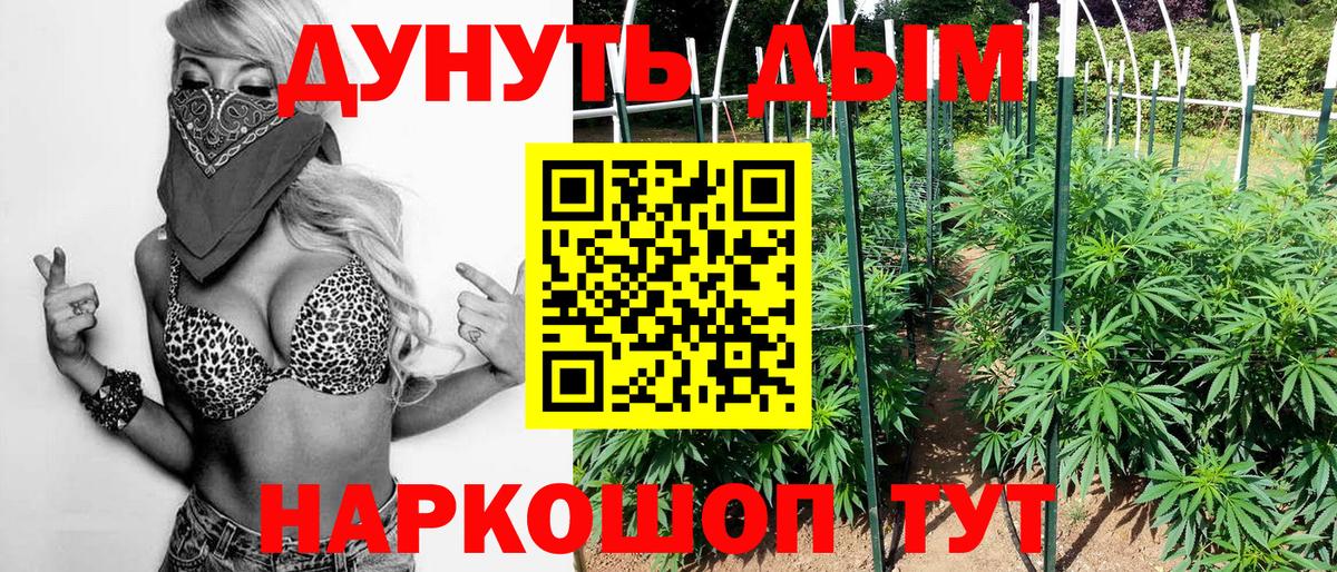 Бошки марихуана Bruce Banner  Каннабис план  Вход с VPN  Усинск  Конопля конопля 